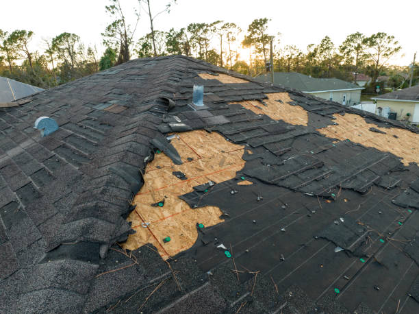 Best Slate Roofing  in Rochester, NY